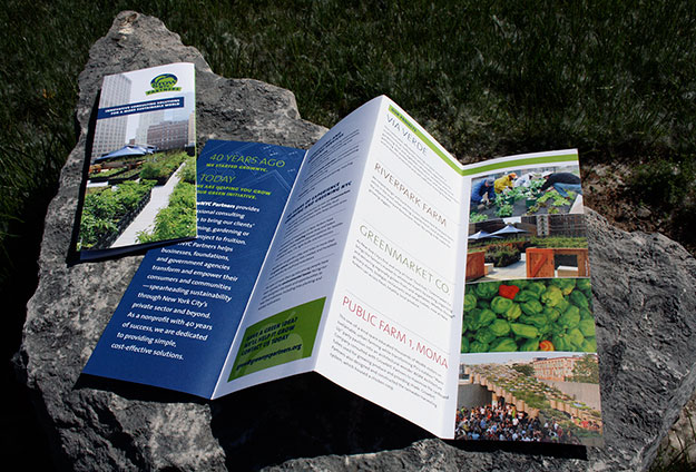 Brochure for consulting initiative, GrowNYC Partners