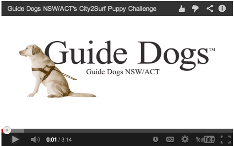 Guide Dogs NSW/ACT interview campaign