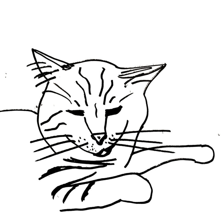 30-day minimalist cat drawing challenge friend version