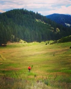 Julia-Rattlesnake Mtn-Missoula