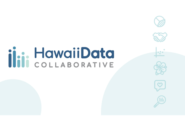 Hawaii Data Collaborative pitch deck design