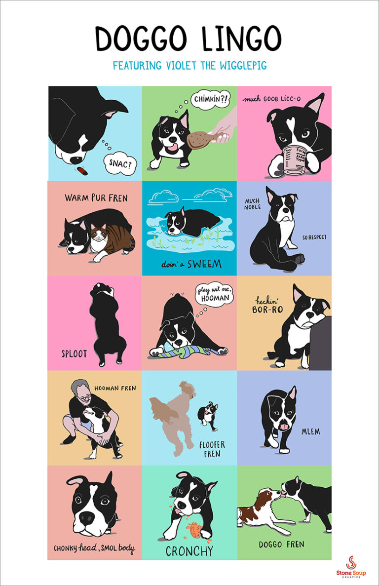 Doggo Lingo a visual 'dog talk' dictionary infographic Stone Soup Creative
