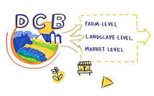 Diverse Corn Belt Project graphic recording
