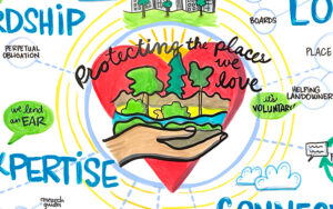 Visual note-taking at Rally 2025 Land & Water Summit